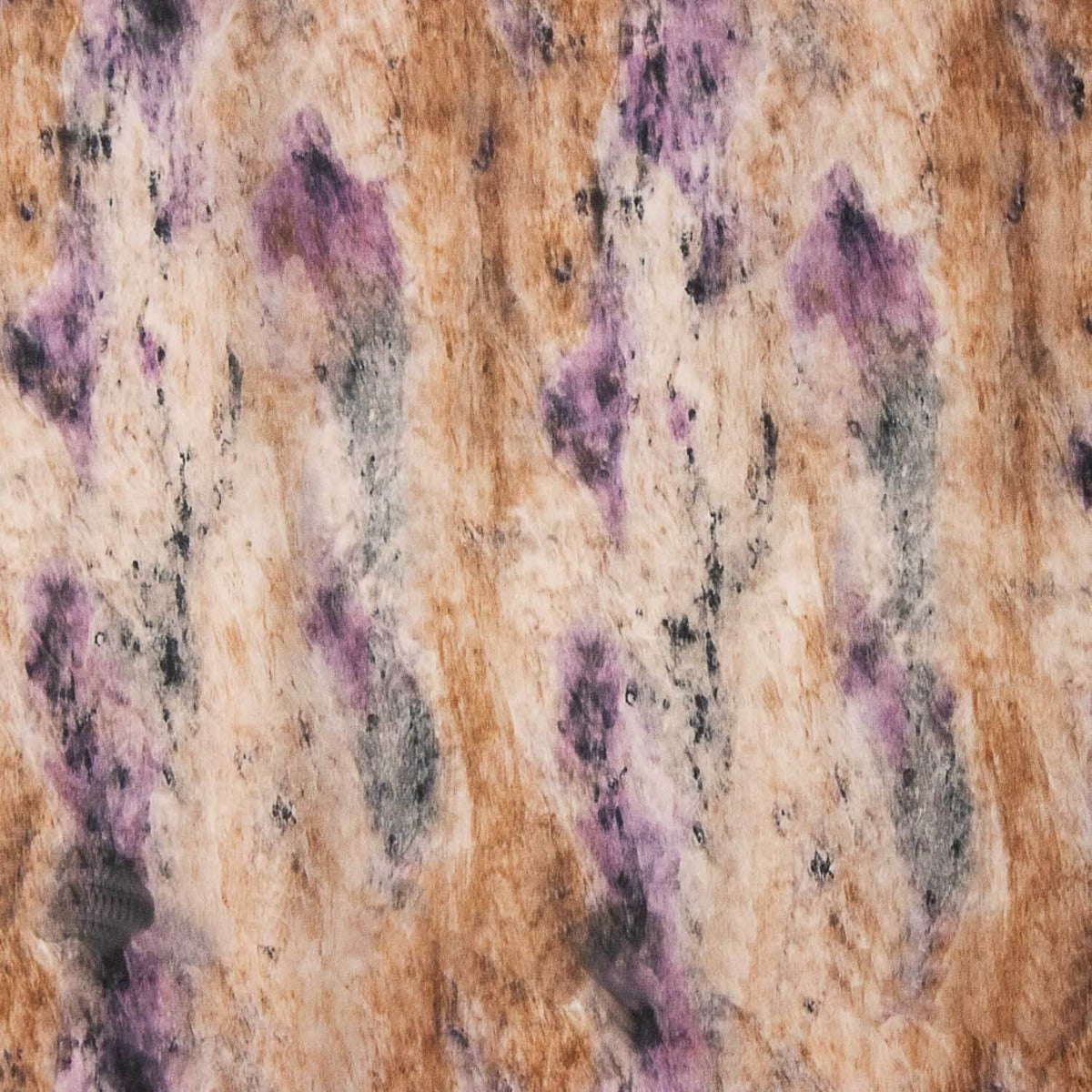 Flache abstrakte Mauve und Kamel - Ribes y Casals