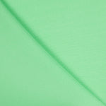 Flach Polyester Polyester Mintgrün - Ribes y Casals