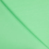 Flach Polyester Polyester Mintgrün - Ribes y Casals