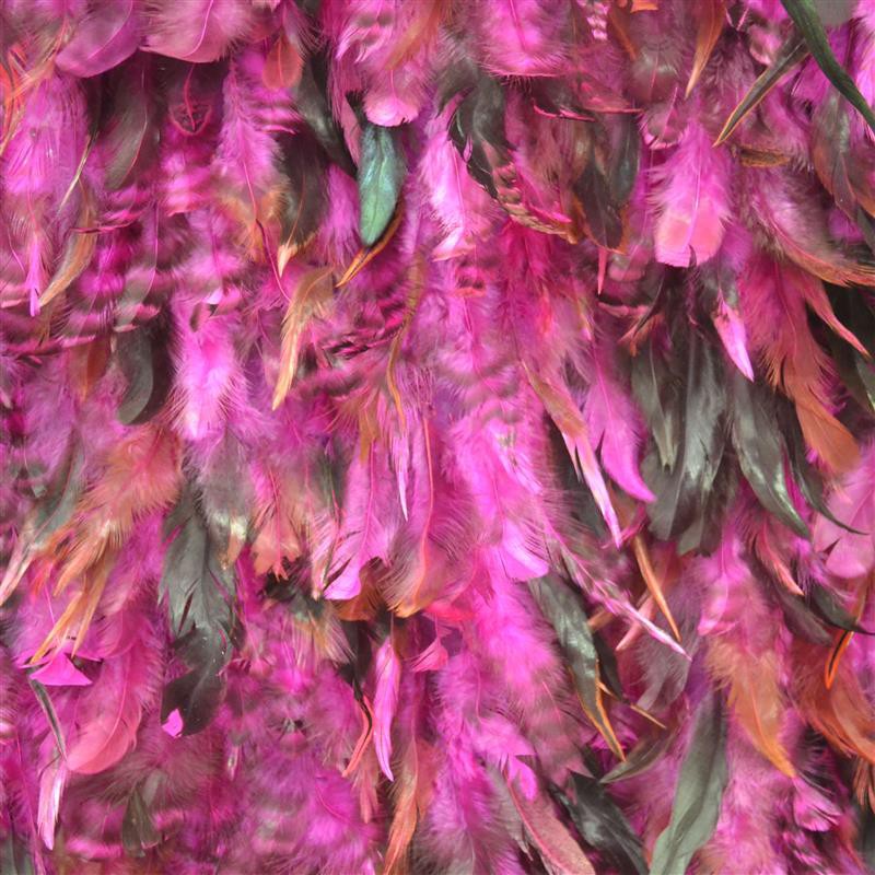 Fuchsia Federn - Ribes y Casals