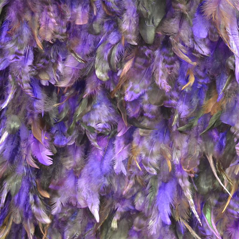 Fliederfedern - Ribes y Casals