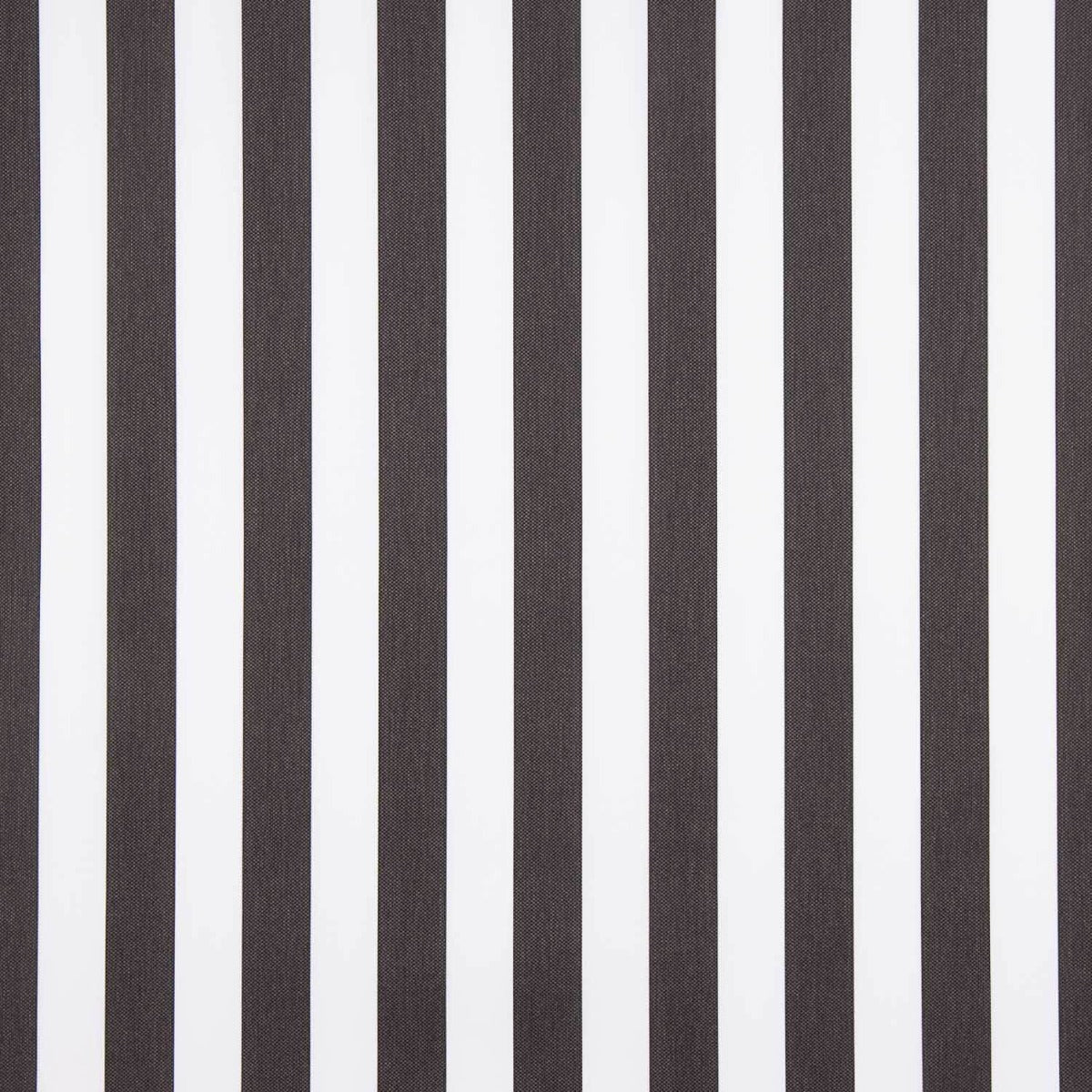 Flaches Polyester gestreift Schwarz - Ribes y Casals