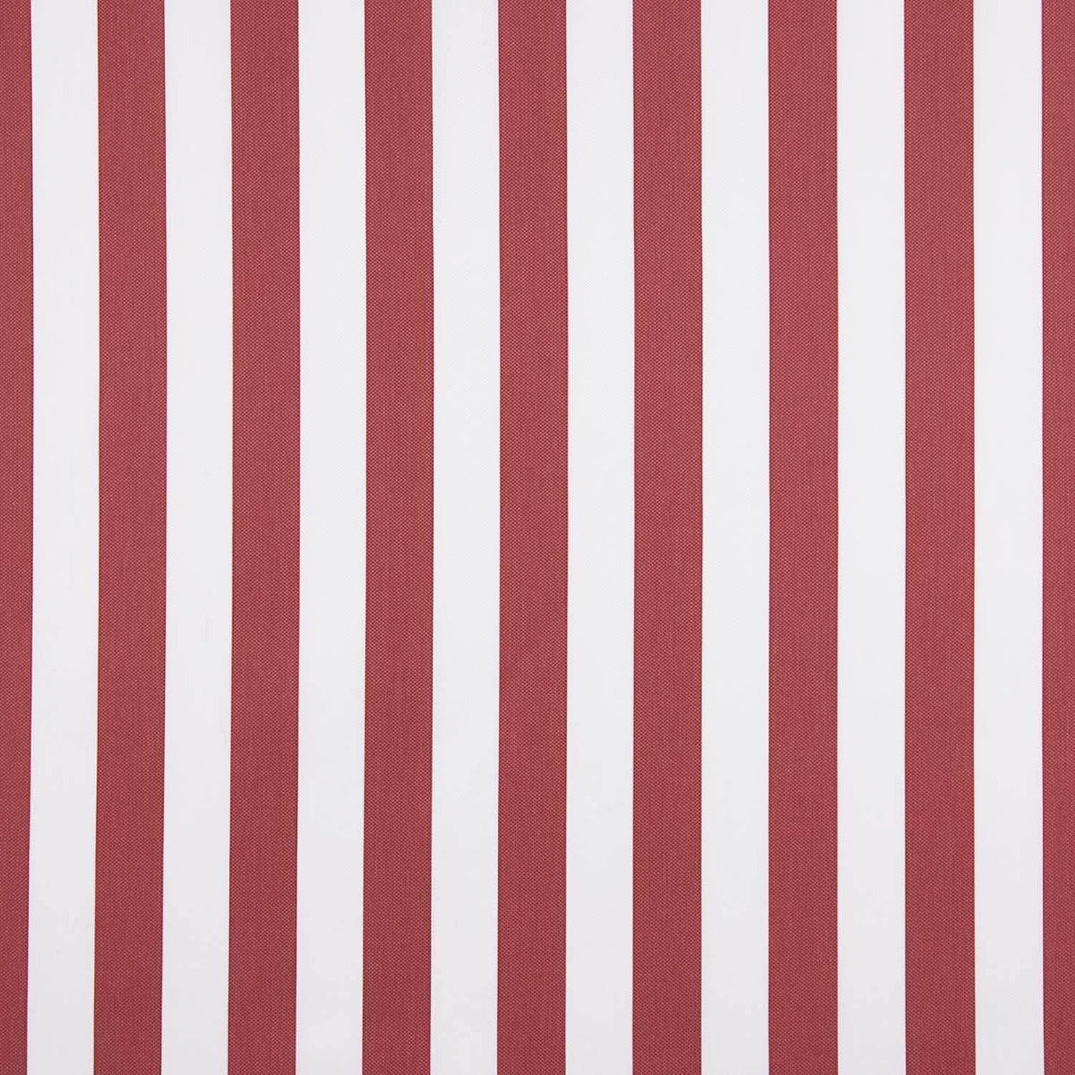 Flaches Polyester Gestreift Rot - Ribes y Casals