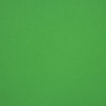 Flaches Polyester Chroma Grün 280cm - Ribes y Casals