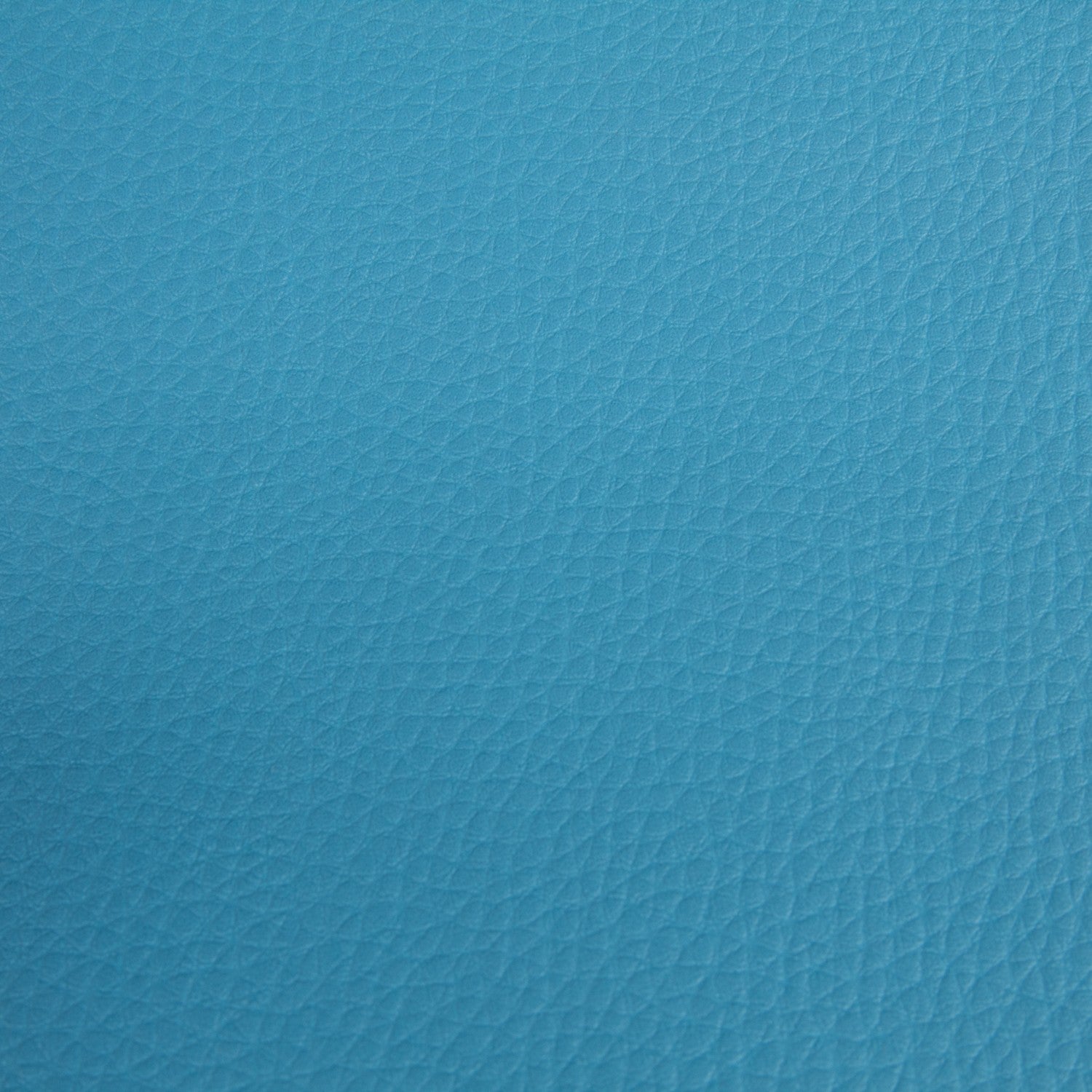 Blaue Polsterung Kunstleder - Ribes y Casals