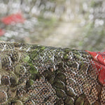 Lackleder Fantasy Snake Mehrfarbig - Ribes y Casals