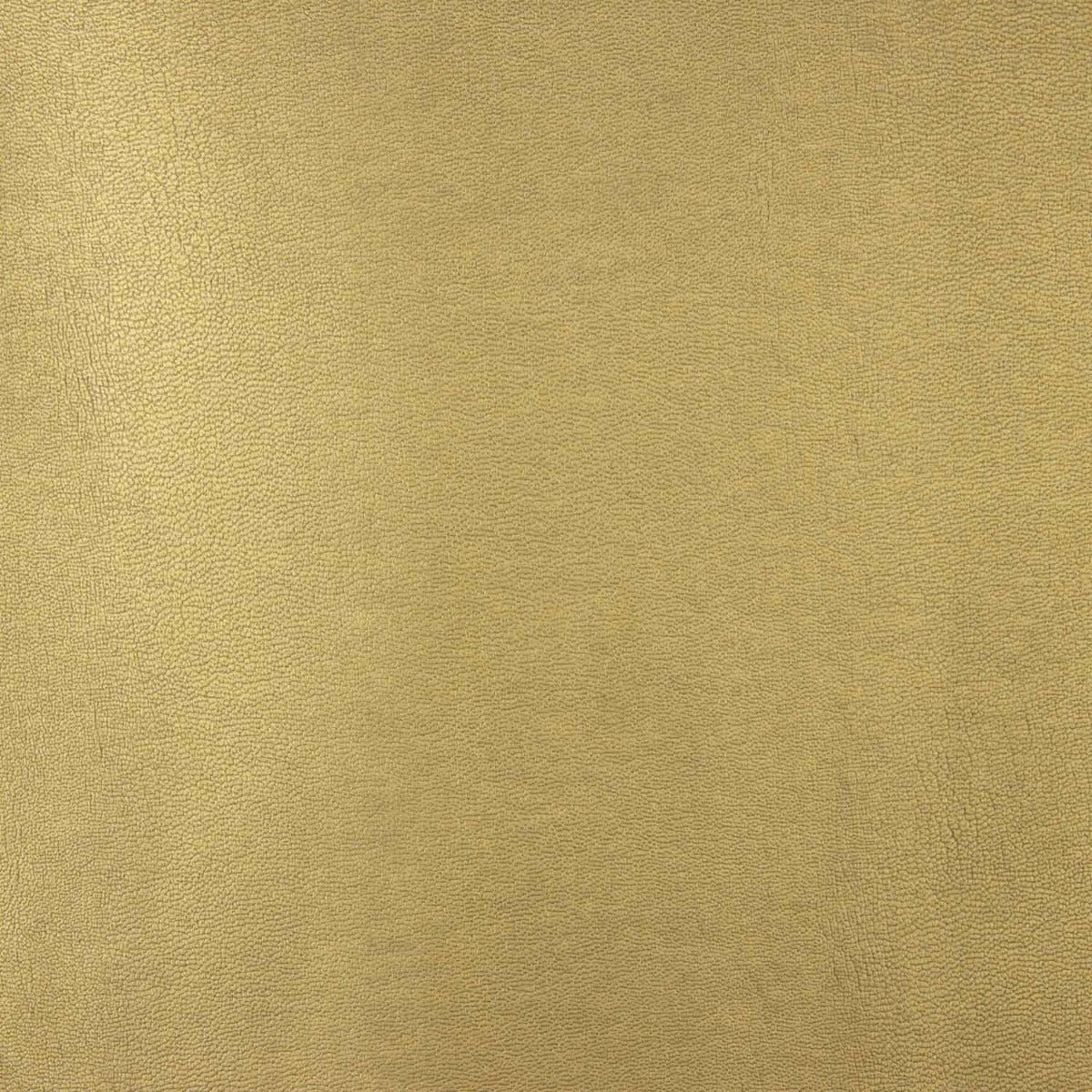 Kunstleder Basic Gold - Ribes y Casals