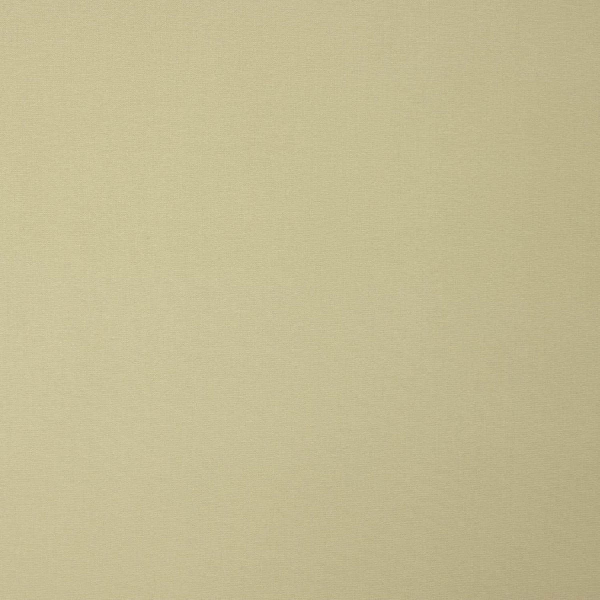 Dunkelbeige Baumwollpopeline - Ribes y Casals