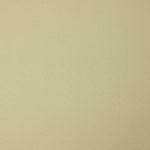 Dunkelbeige Baumwollpopeline - Ribes y Casals