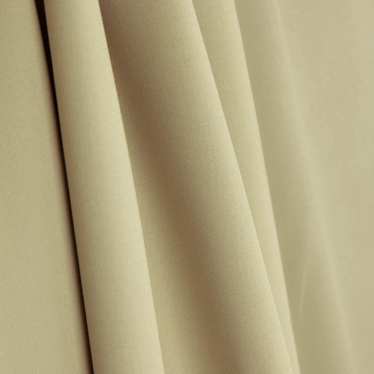 Dunkelbeige Baumwollpopeline - Ribes y Casals
