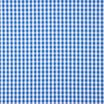 Karierter Maxi aus Baumwollpopeline Blau - Ribes y Casals