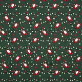 Popeline Weihnachtsmann Grün - Ribes y Casals
