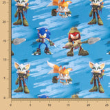 Sonic Friends Popeline - Ribes y Casals