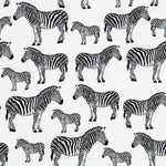 Zebra Popeline Roh - Ribes y Casals