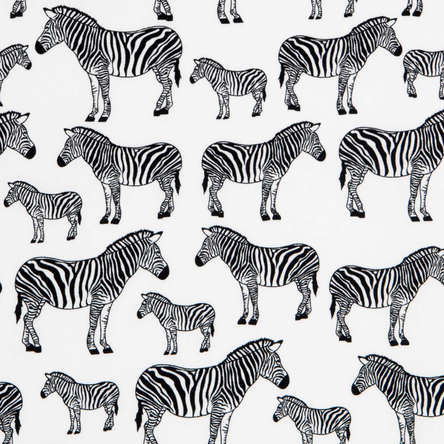 Zebra Popeline Roh - Ribes y Casals