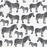 Zebra Popeline Roh - Ribes y Casals