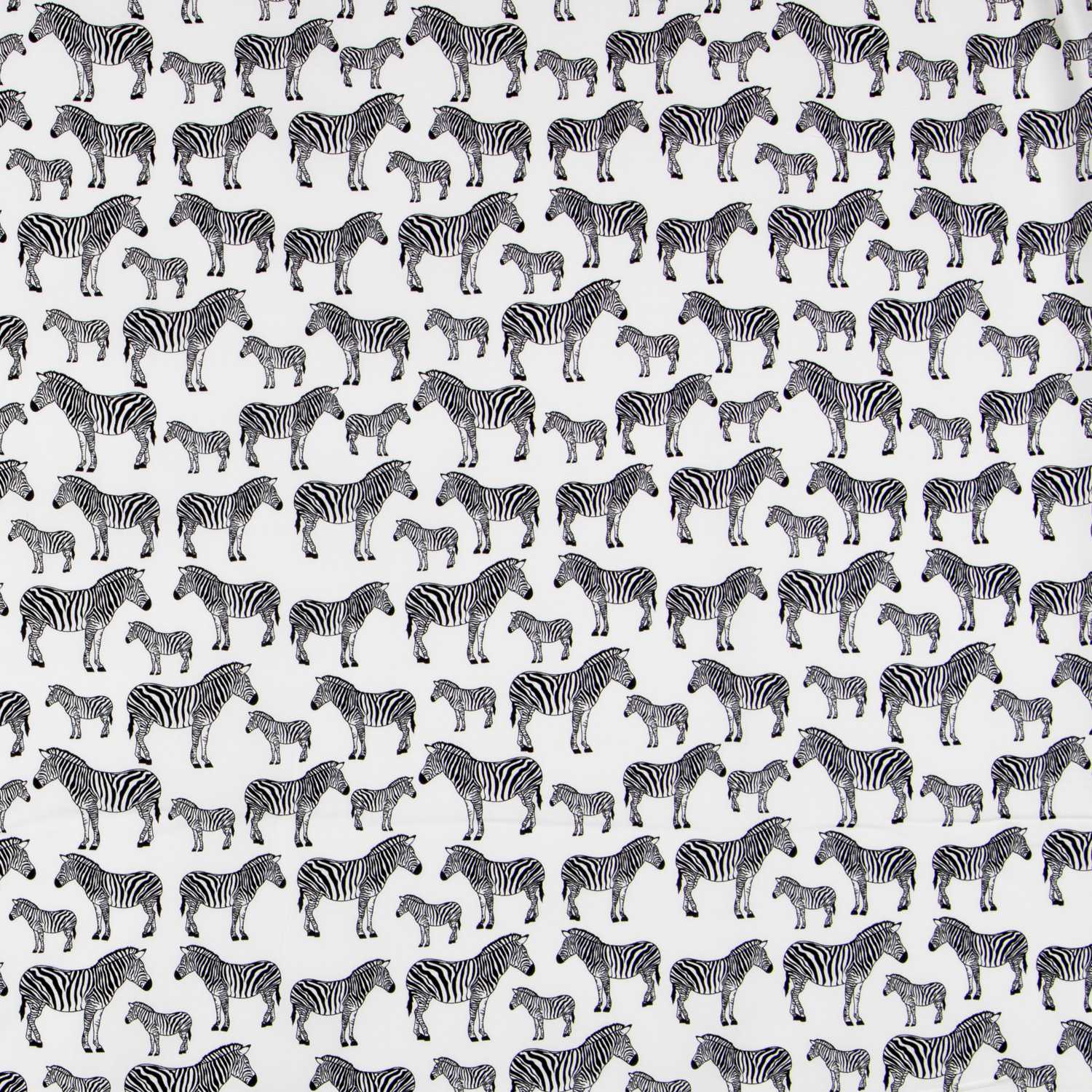 Zebra Popeline Roh - Ribes y Casals
