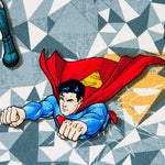 DC Comics Heros Popeline - Ribes y Casals