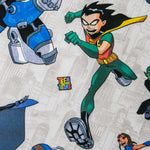 DC Comics Robin - Ribes y Casals