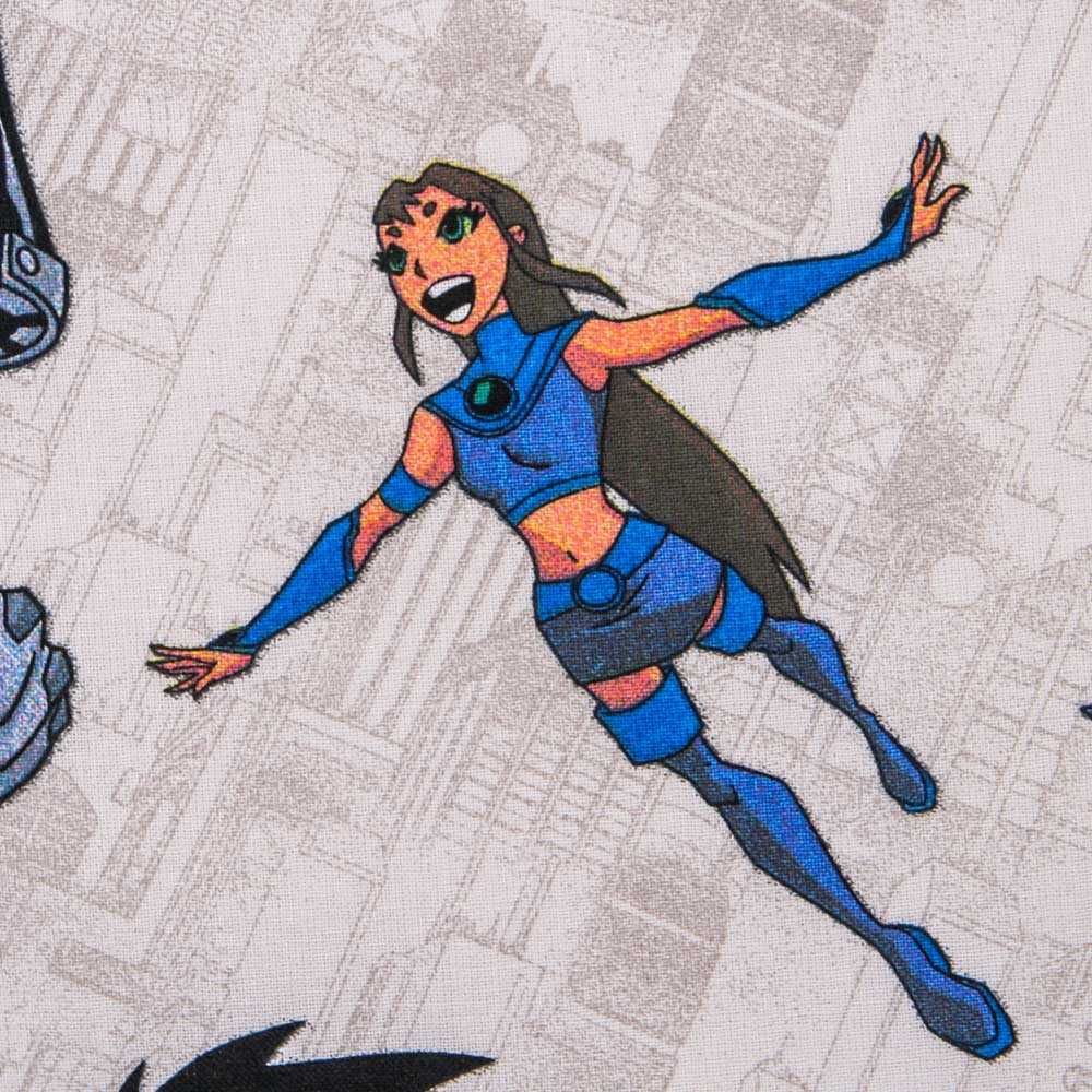 DC Comics Robin - Ribes y Casals
