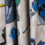 DC Comics Robin - Ribes y Casals