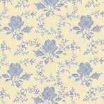 Cretona Beige Baumwolle Popeline Cretonne - Ribes y Casals
