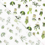 Kaktusdruck Popeline - Ribes y Casals