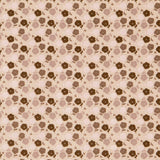 Liberti Vintage Popeline Beige - Ribes y Casals