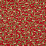 Weihnachtsstern Weihnachtsstern Poinsettia Poinsettia Rot - Ribes y Casals