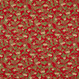 Weihnachtsstern Weihnachtsstern Poinsettia Poinsettia Rot - Ribes y Casals