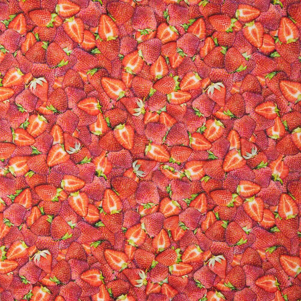 Amerikanische Patchwork-Erdbeeren - Ribes y Casals