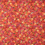 Amerikanische Patchwork-Erdbeeren - Ribes y Casals