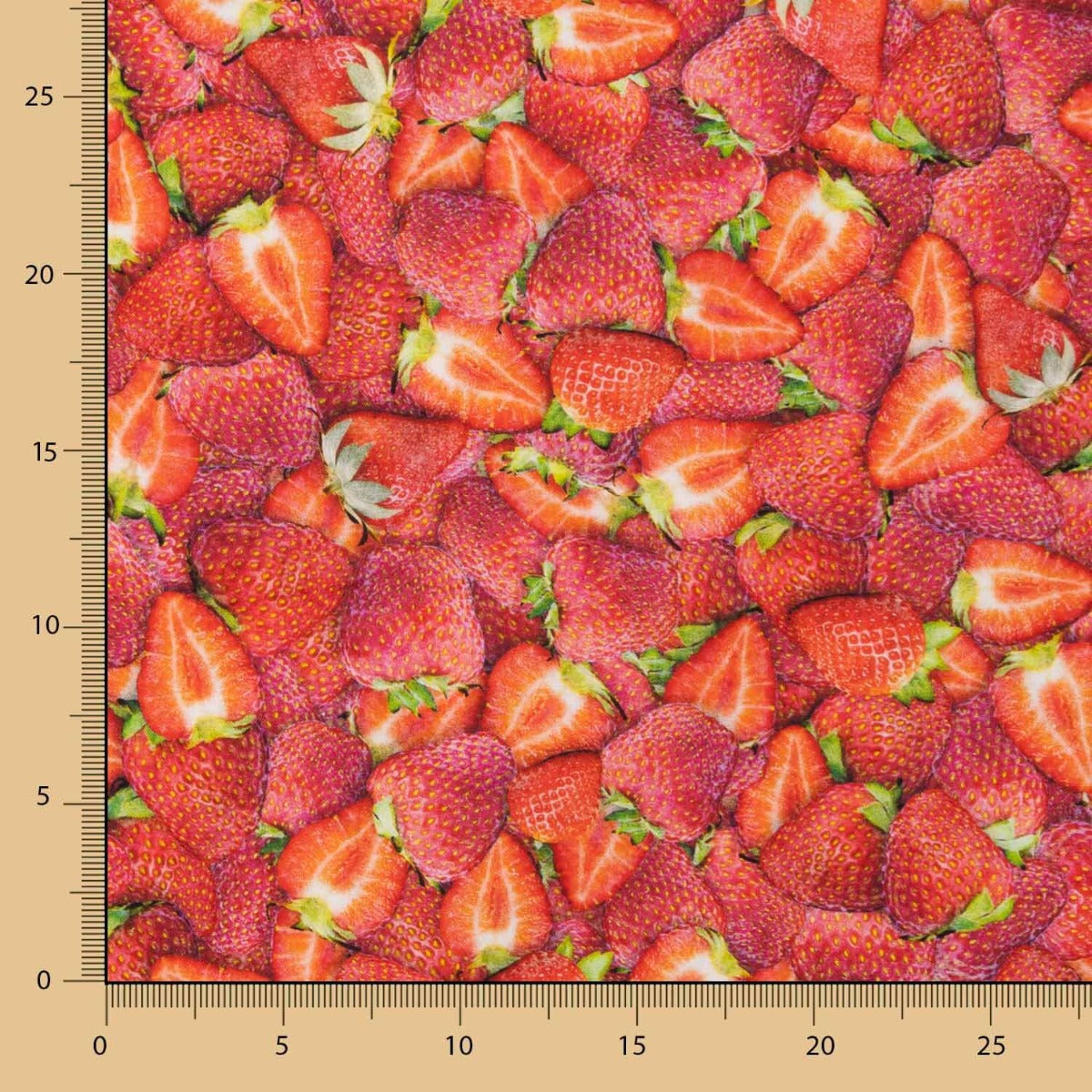 Amerikanische Patchwork-Erdbeeren - Ribes y Casals