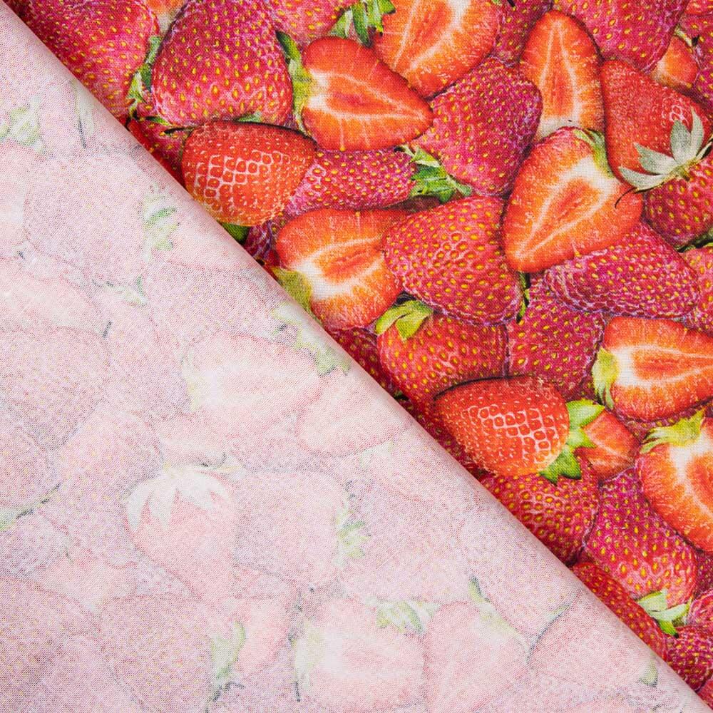 Amerikanische Patchwork-Erdbeeren - Ribes y Casals