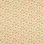 Baumwoll-Popeline Roxana Beige - Ribes y Casals