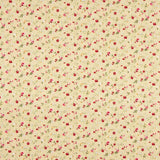 Baumwoll-Popeline Roxana Beige - Ribes y Casals