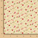 Baumwoll-Popeline Roxana Beige - Ribes y Casals