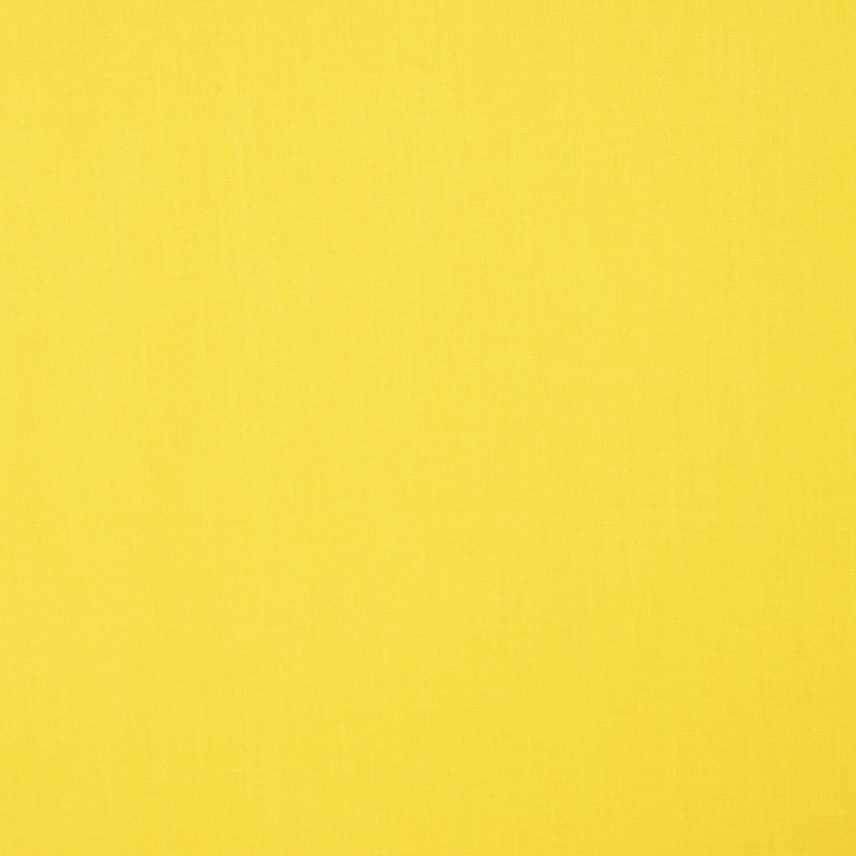 Basic einfarbige Baumwoll-Popeline Popeline Basic Intense Yellow - Verschiedene Größen x 150 cm breit - Ribes y Casals