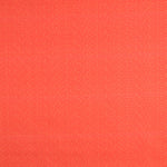 Baumwoll-Popeline Popeline Orange - Ribes y Casals