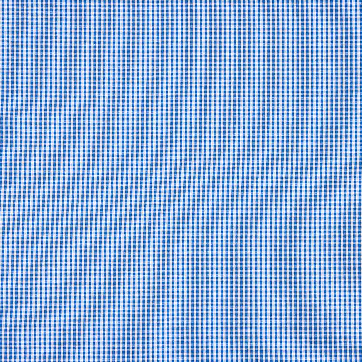 Mini Blue Checked Cotton Poplin - Ribes y Casals