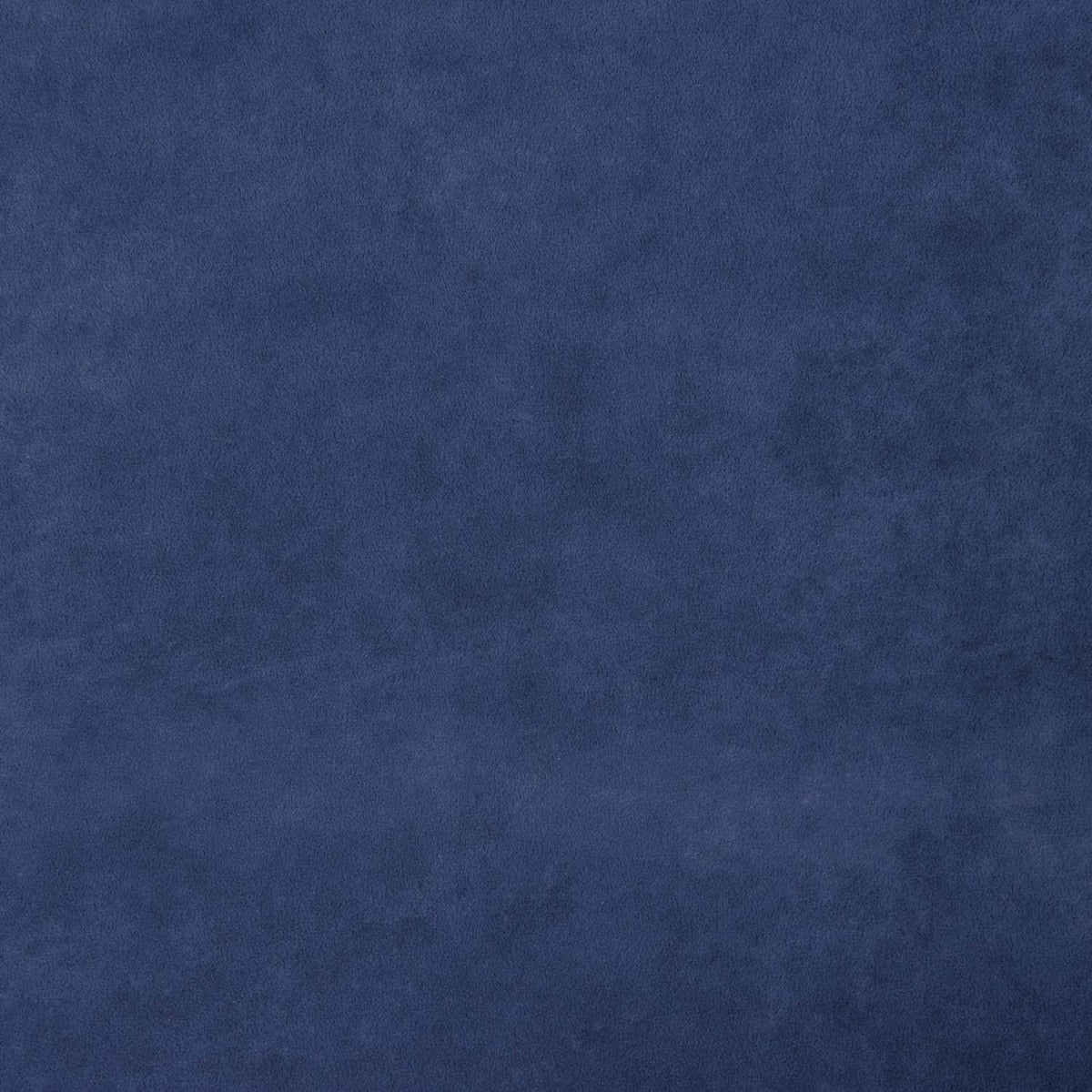 Dark Denim Blue Pretencious Anti-Cat-Polsterung - Ribes y Casals