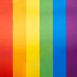 Helle Regenbogen Stolz Flagge - Ribes y Casals