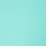 Gestrickte Baumwolle Lycra Basic Aqua Grün - Ribes y Casals