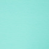 Gestrickte Baumwolle Lycra Basic Aqua Grün - Ribes y Casals