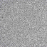 Silber glänzender Lamé-Stich - Ribes y Casals
