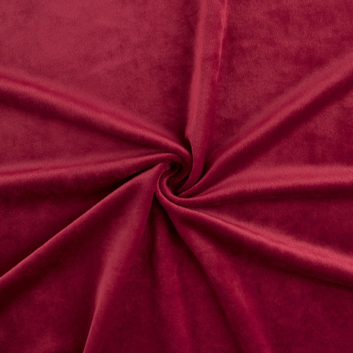 Roter Samtstich - Ribes y Casals
