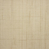 Raffia Naturfarbe - Ribes y Casals