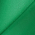 Basic Satin Karneval Grün - Ribes y Casals