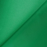 Basic Satin Karneval Grün - Ribes y Casals