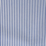 Blaue Vichy-Streifen Mini - Ribes y Casals